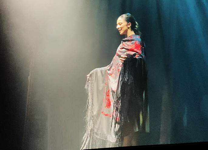 Lola García bailaora - Esencia y Raíz - Compañía de flamenco en Madrid - Madrid flamenco - Raíces y eventos - Teatro San Pol